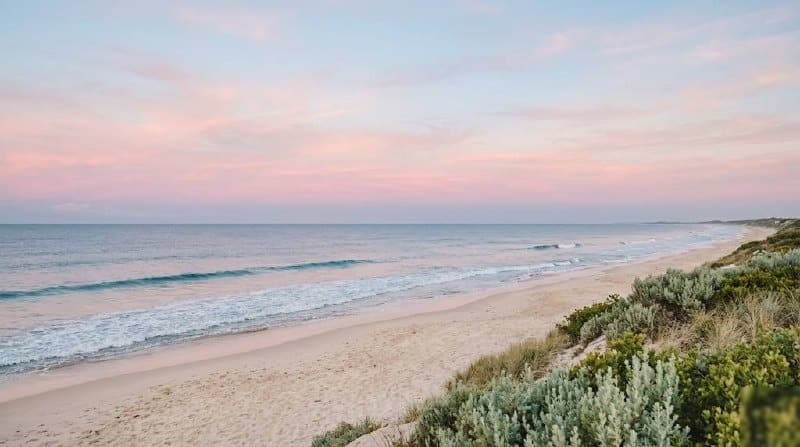 FOMO — 놓치는 것에 대한 두려움과 불안